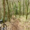 Rando VTT MIRIBEL COTIERE le 12-03-2017